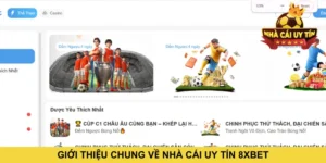 Giới thiệu chung về nhà cái uy tín 8XBET