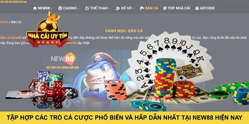 Tập hợp các trò cá cược phổ biến và hấp dẫn nhất tại NEW88 hiện nay